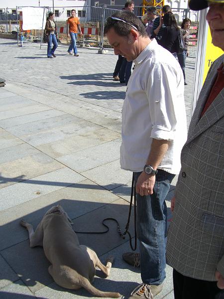CIMG0009.JPG