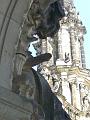 CIMG0022_ji